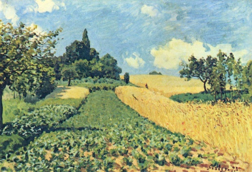 Пшеничное поле на холме в Аржантейе. 1873г. 50x73cm